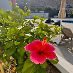 Lägenhetshotell Costa Adeje Garden 4*