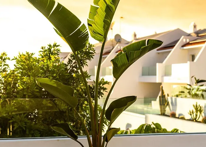 Costa Adeje Garden 3*