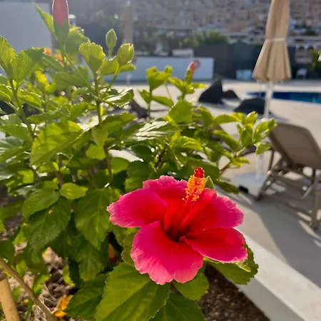 Lejlighedshotel Costa Adeje Garden 4*