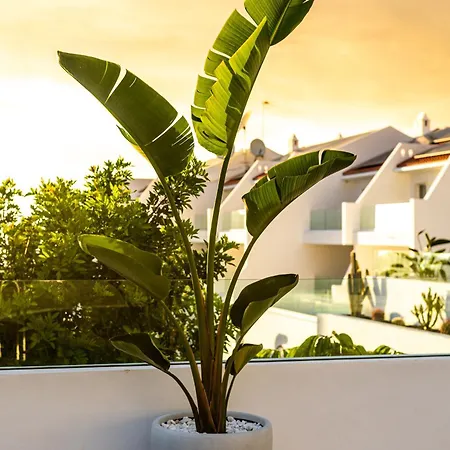 Costa Adeje Garden 3*